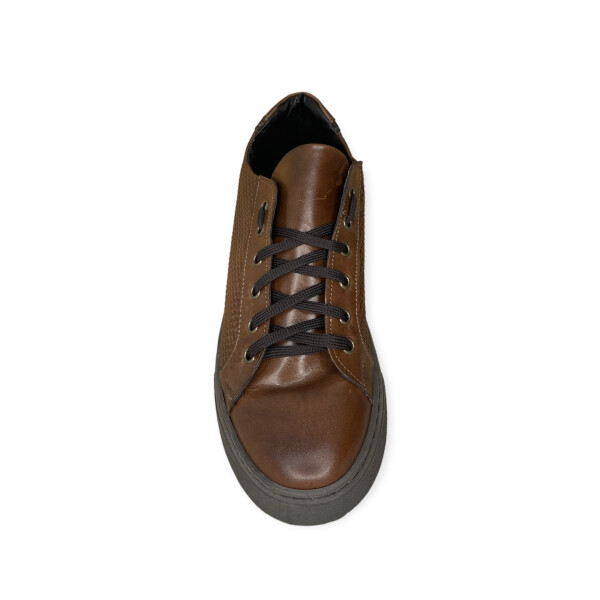 art.5056-brown-1.png