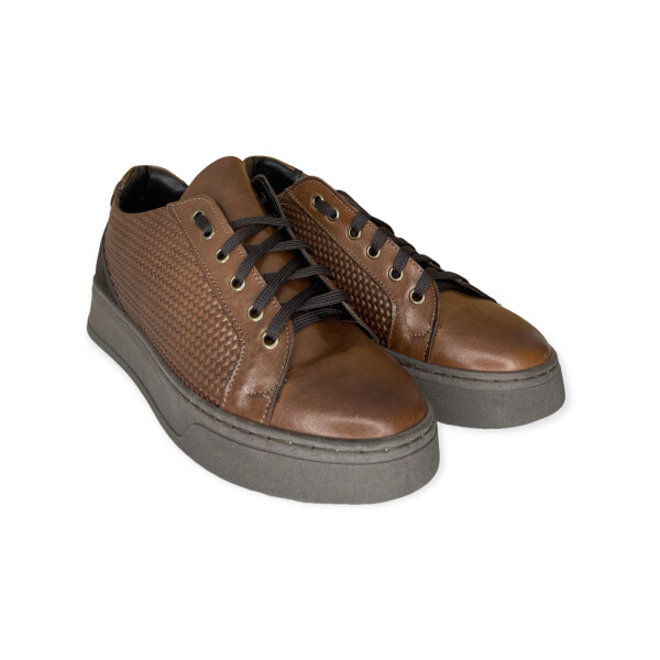 art.5056-brown-2.png