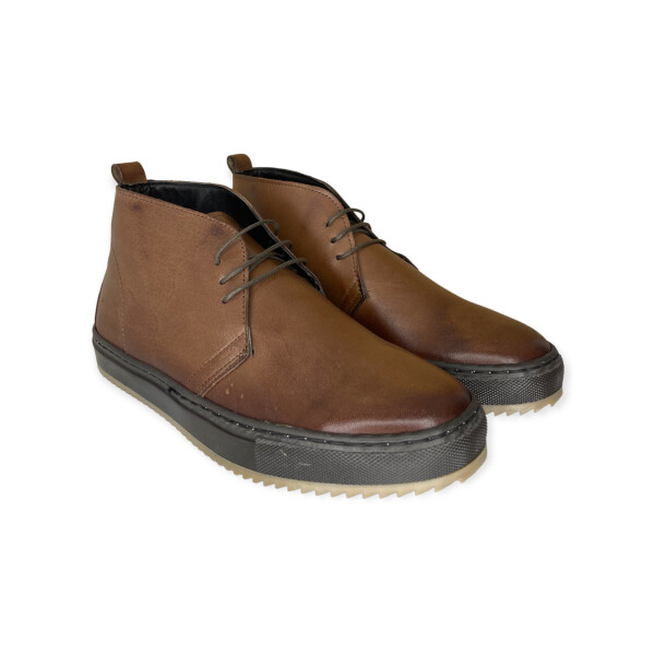art.8112-brown-1.png