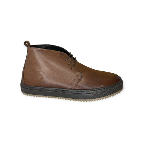 art.8112-brown-2.png