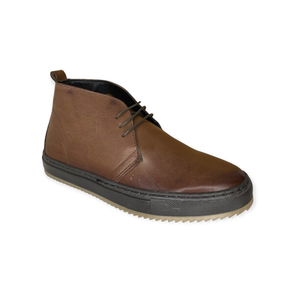 art.8112-brown-3.png