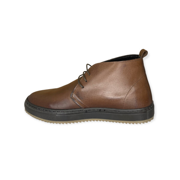art.8112-brown-4.png
