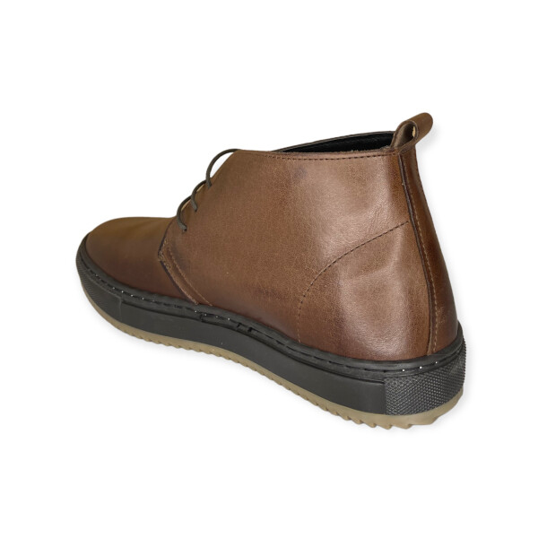 art.8112-brown-5.png