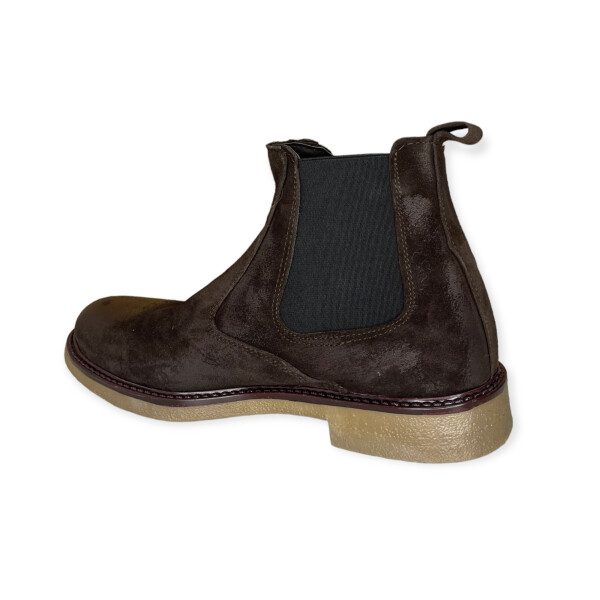 artic.01-brown-5.png