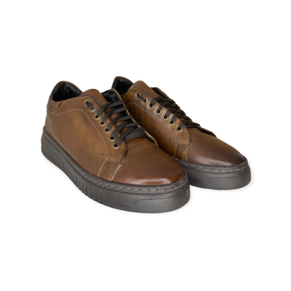artic.4060-brown-1.png