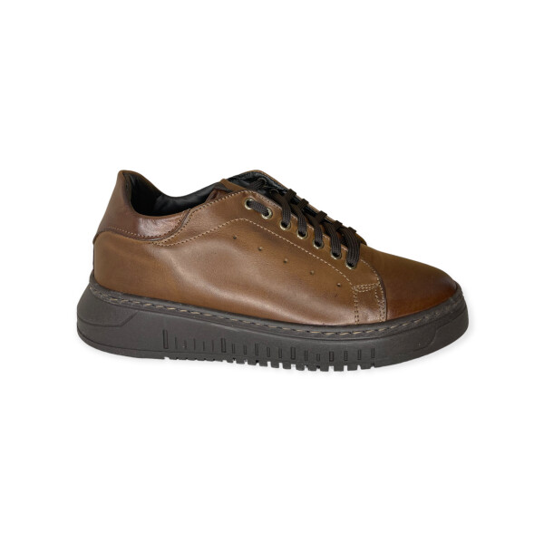 artic.4060-brown-2.png