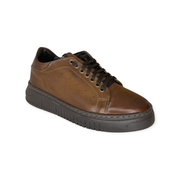 artic.4060-brown-3.png