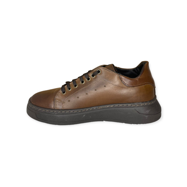 artic.4060-brown-4.png