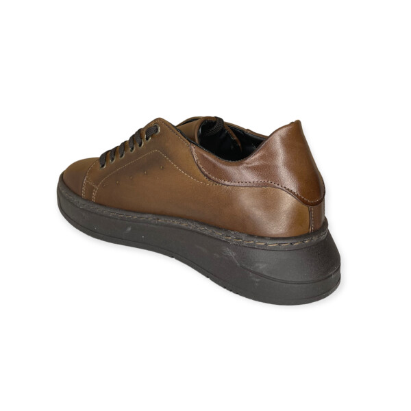 artic.4060-brown-5.png
