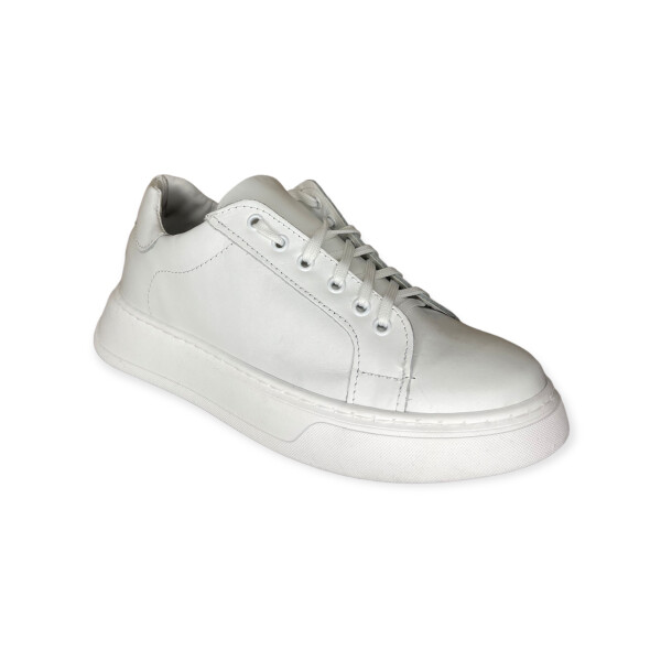 artic.5030-bianco-1.png