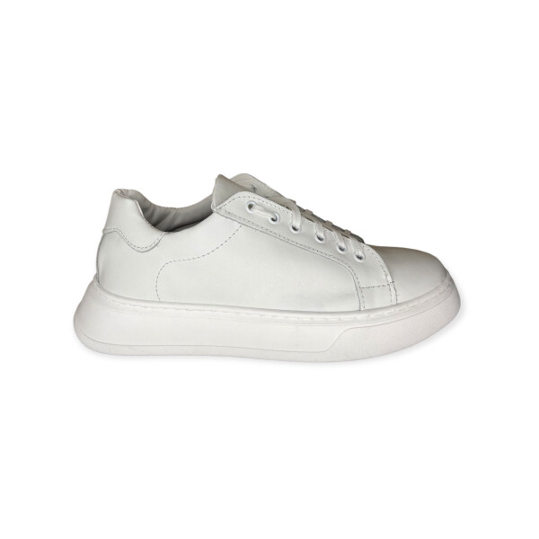 artic.5030-bianco-2.png