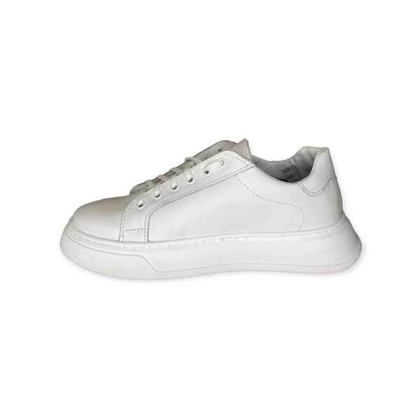 artic.5030-bianco-3.png