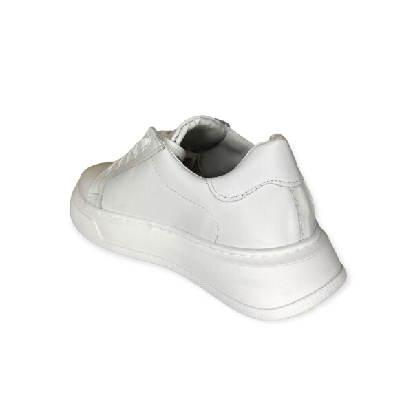 artic.5030-bianco-4.png