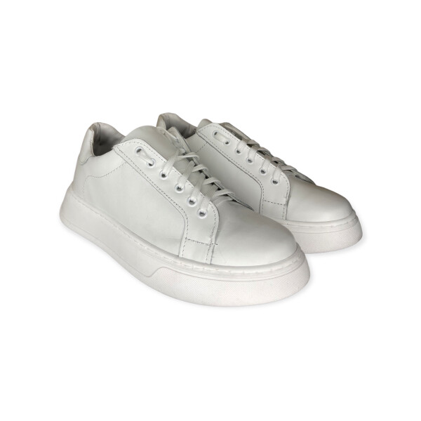 artic.5030-bianco-5.png