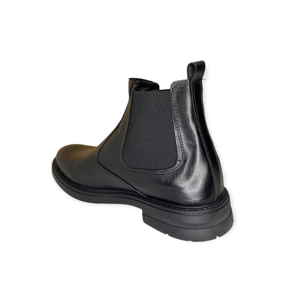 articollo-0870-4.png