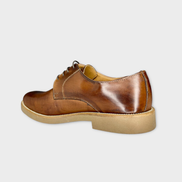 articollo0503-brown-3.png