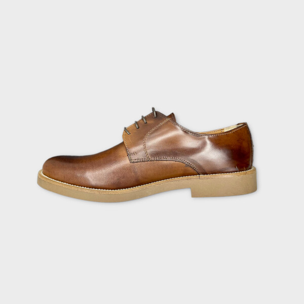 articollo0503-brown-4.png
