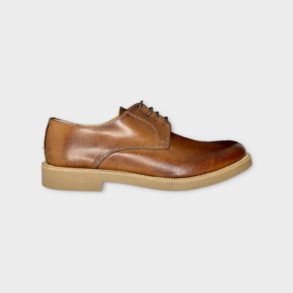 articollo0503-brown-5.png