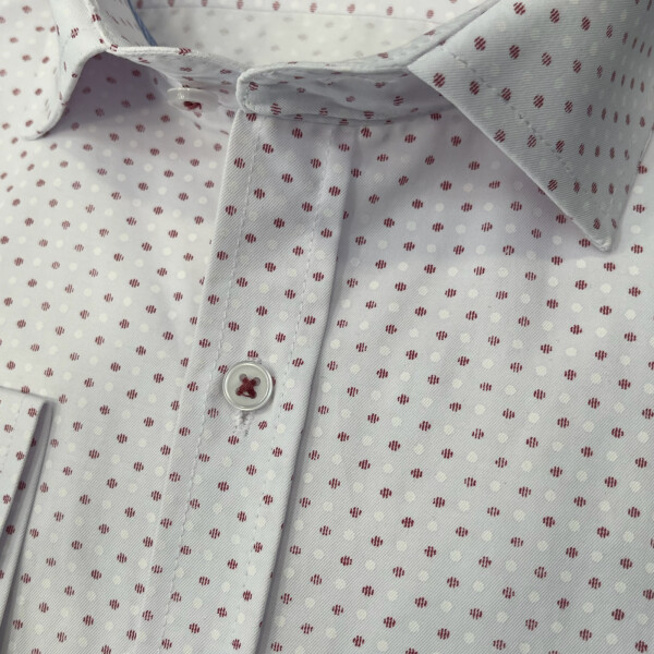 shirt.3015-2.png